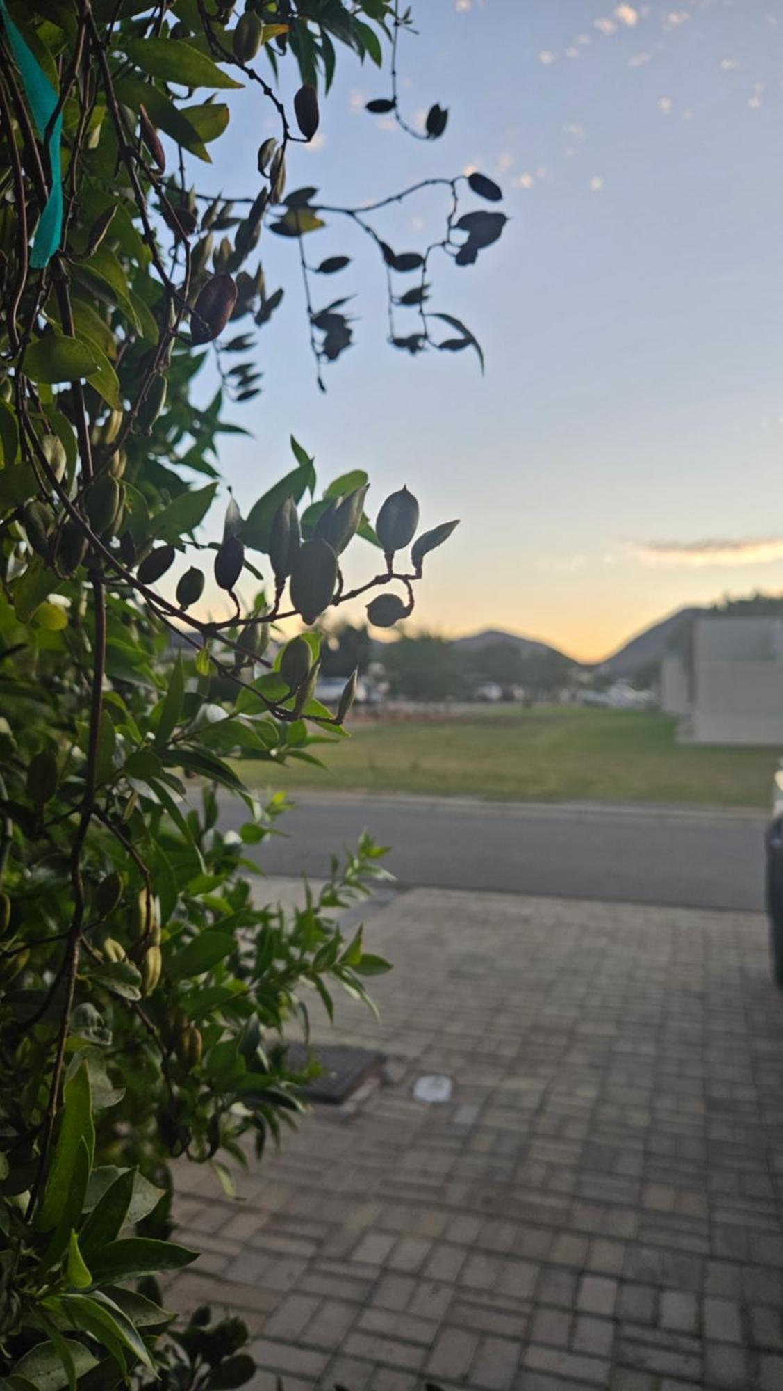 Lily'S Rest, Village On Silwerstrand, Robertson Exterior foto